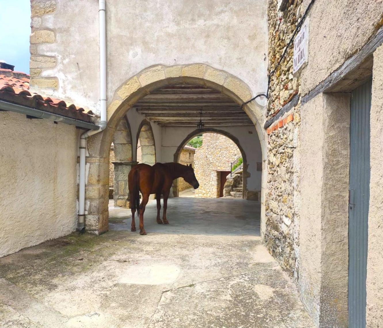Casa Yolanda Country house Bojar